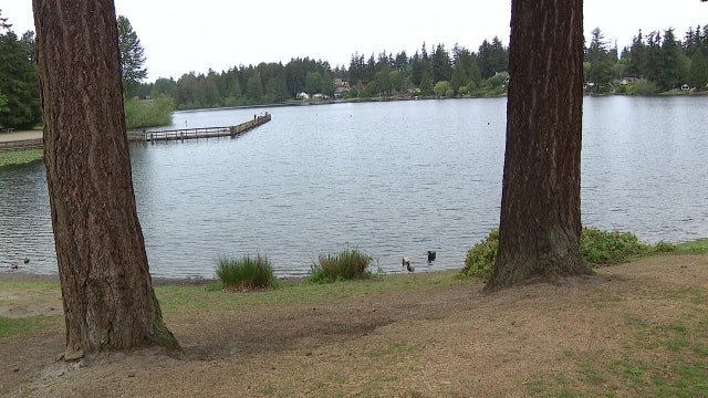 8-year-old drowns at Federal Way, WA's Steel Lake Park