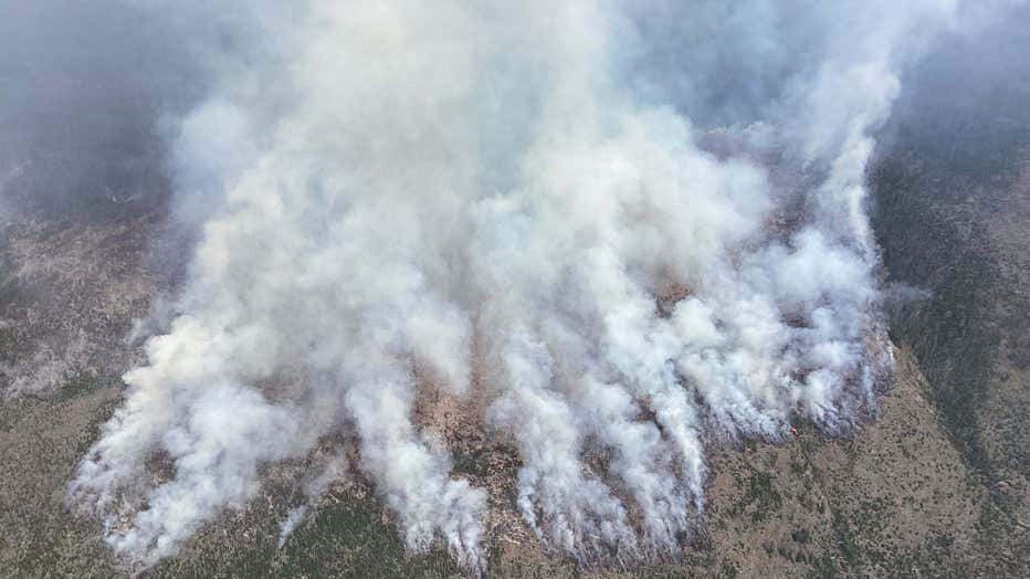 Ptarmigan Fire