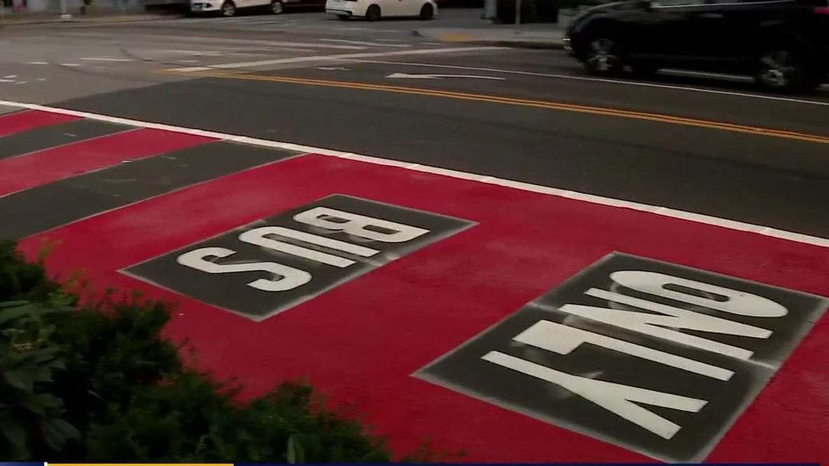 New Denny Way bus lane launches to fix ‘Always Late 8’ delays