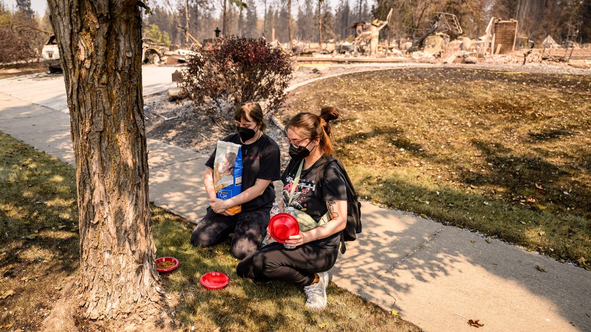Seattle Humane supporting animal rescues in Spokane amid wildfires