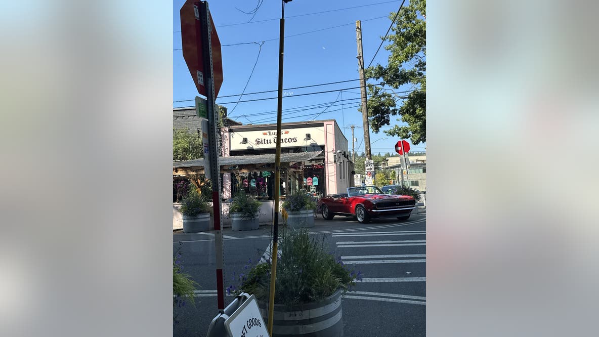 Guy Fieri spotted filming 'Diners, Drive-Ins and Dives' in Ballard, WA