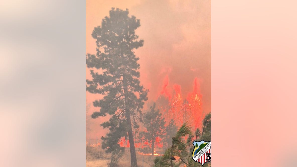Does wildfire smoke make people sick?