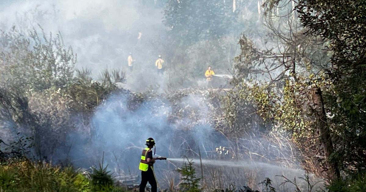 Brush fires cause highway closure near Port Ludlow, WA