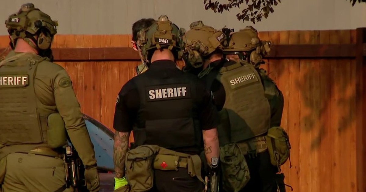 Assault News Image