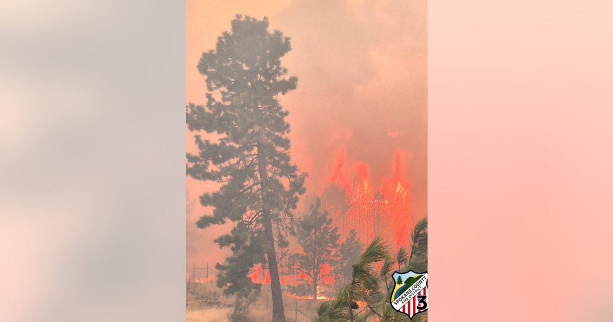 Does wildfire smoke make people sick?