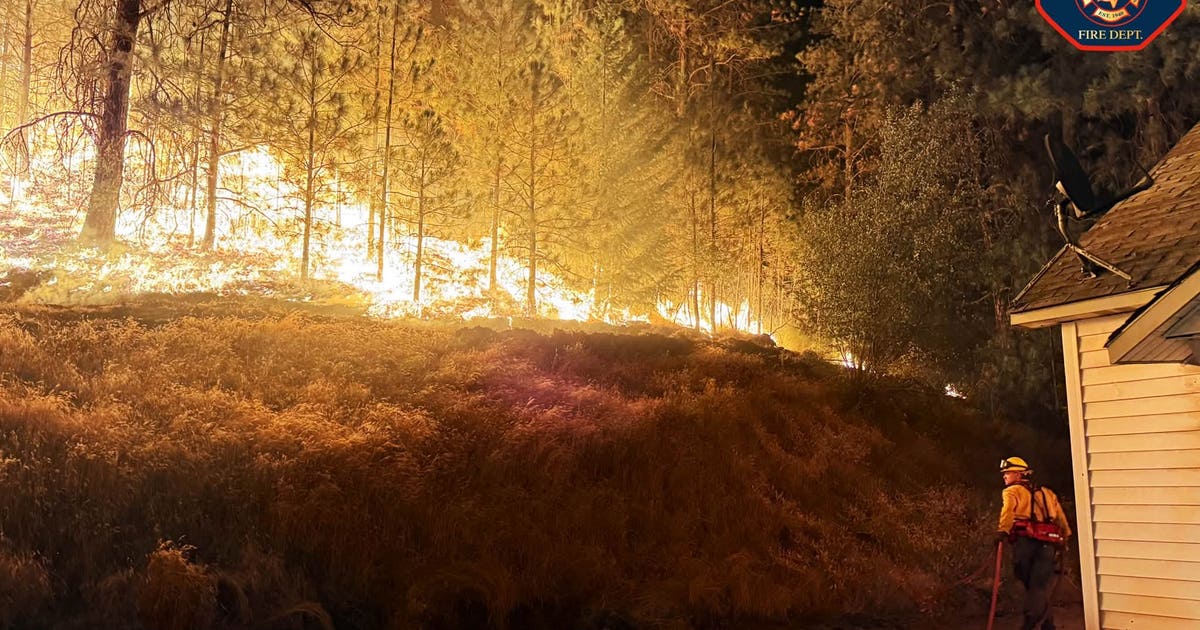 Seattle Humane supporting animal rescues in Spokane amid wildfires