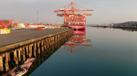 Decaying whale found on ship bow near Port of Tacoma