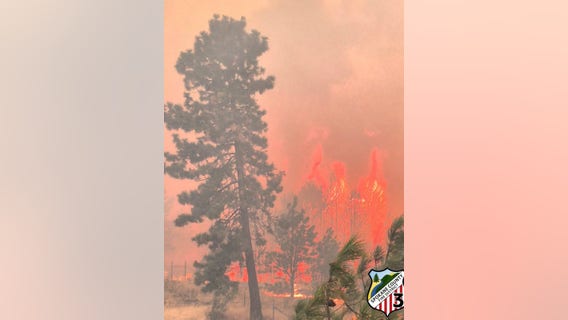 Does wildfire smoke make people sick?