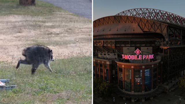 Mariners give fans extra opportunity to score Jimothy gear after ticket special sells out