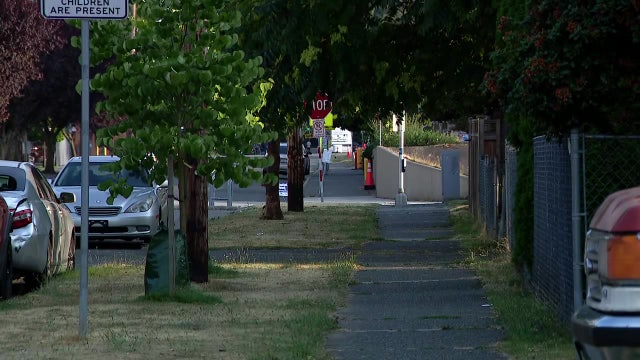 Teen injured in shooting during Seattle BBQ: police