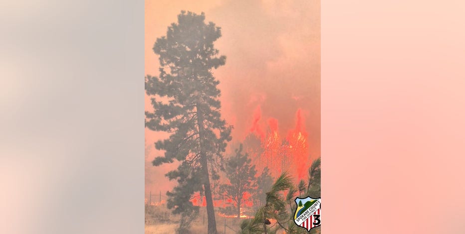 Does wildfire smoke make people sick?