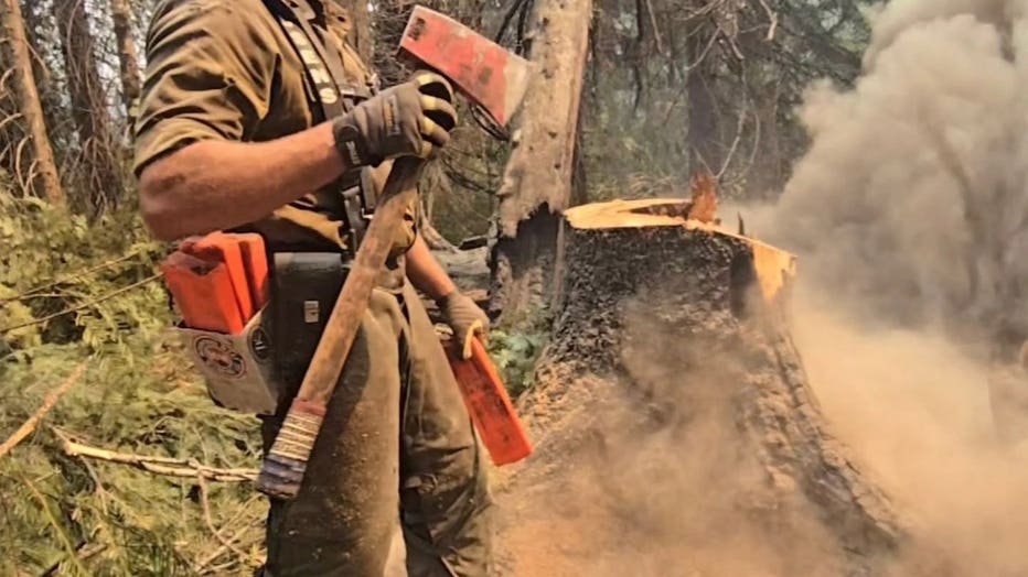 VETERAN WILDLAND FIREFIGHTER INJURED BY FALLING TREE LIMB