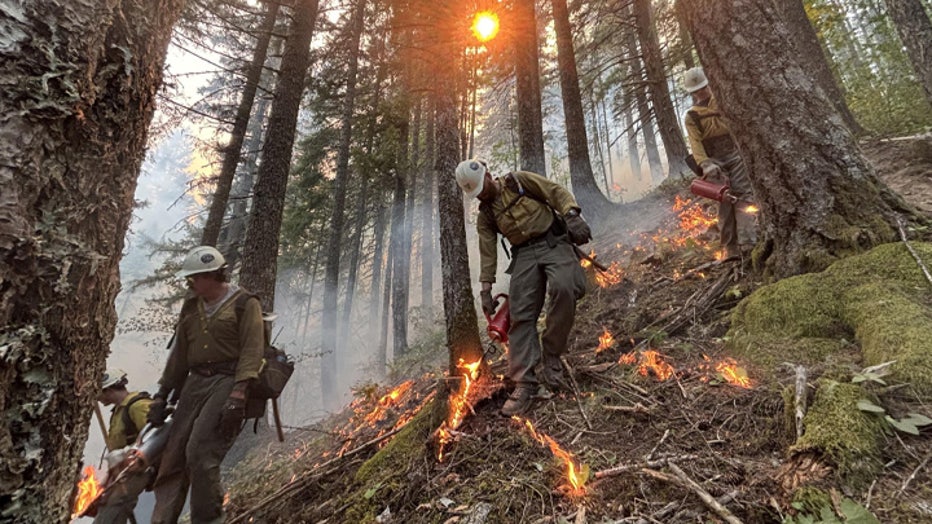 The Skyo Fire, burning a mile north of Highway 12 near Randle, Washington, has reached 254 acres and is now 69% contained.