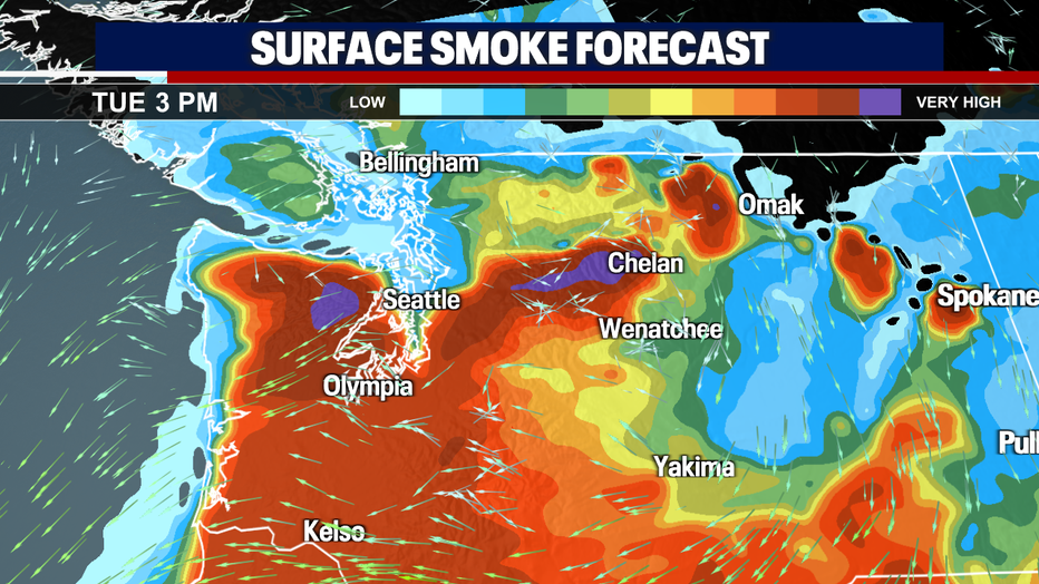 A map showing the surface level smoke forecast.