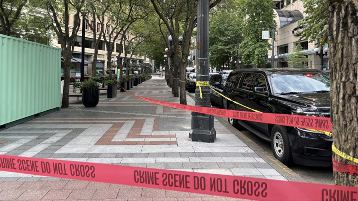 Police investigate Downtown Seattle homicide after deadly park fight