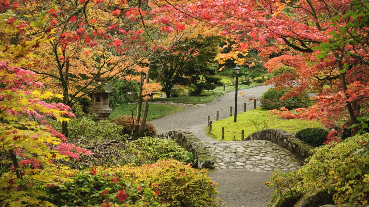 When does fall start in WA? Key dates for Seattle fall foliage and daylight saving