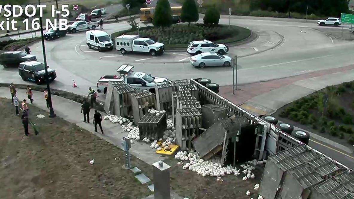 Overturned semi-truck spills chickens on I-5 in Clark County, WA