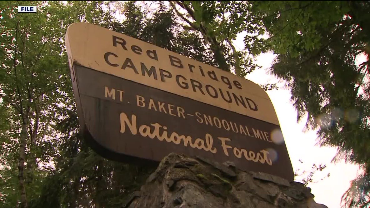 US Forest Service confirms it works with ICE after camping trip raid