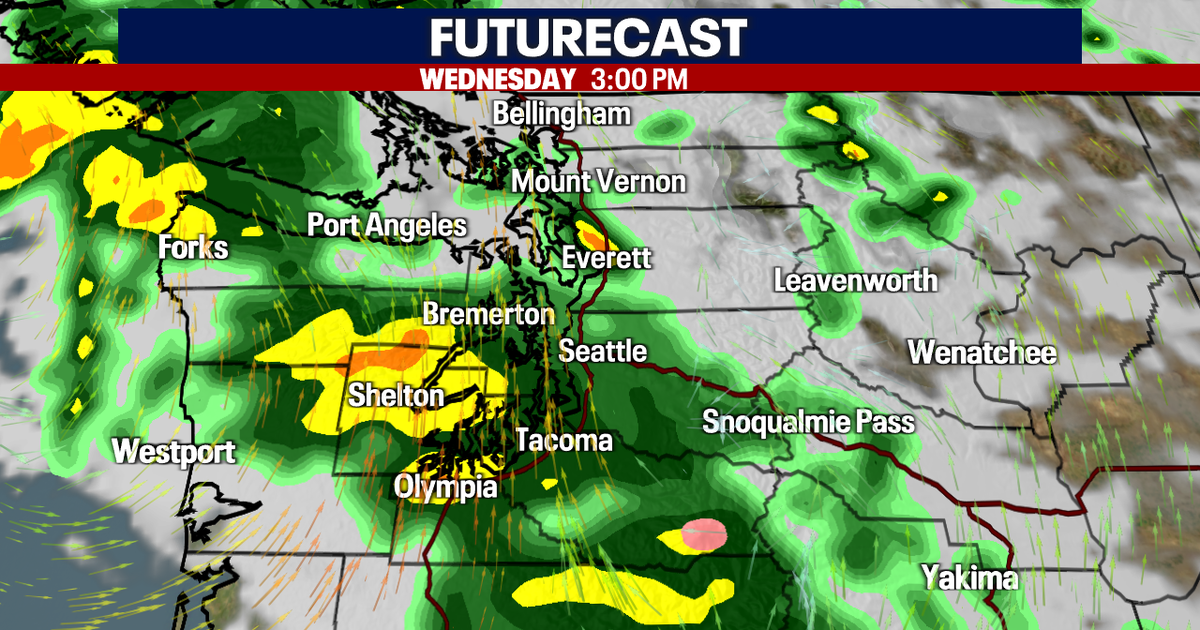 Seattle weather: Fall-like system Wednesday will bring rain, cooler temperatures and breezy winds