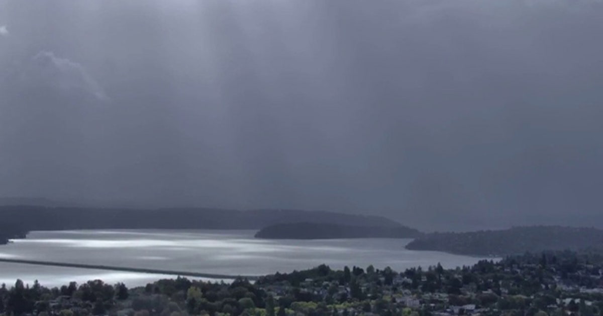 Wind advisory remains in effect for Western Washington as gusts up to 45 mph bring power outages, downed trees; dry weekend ahead