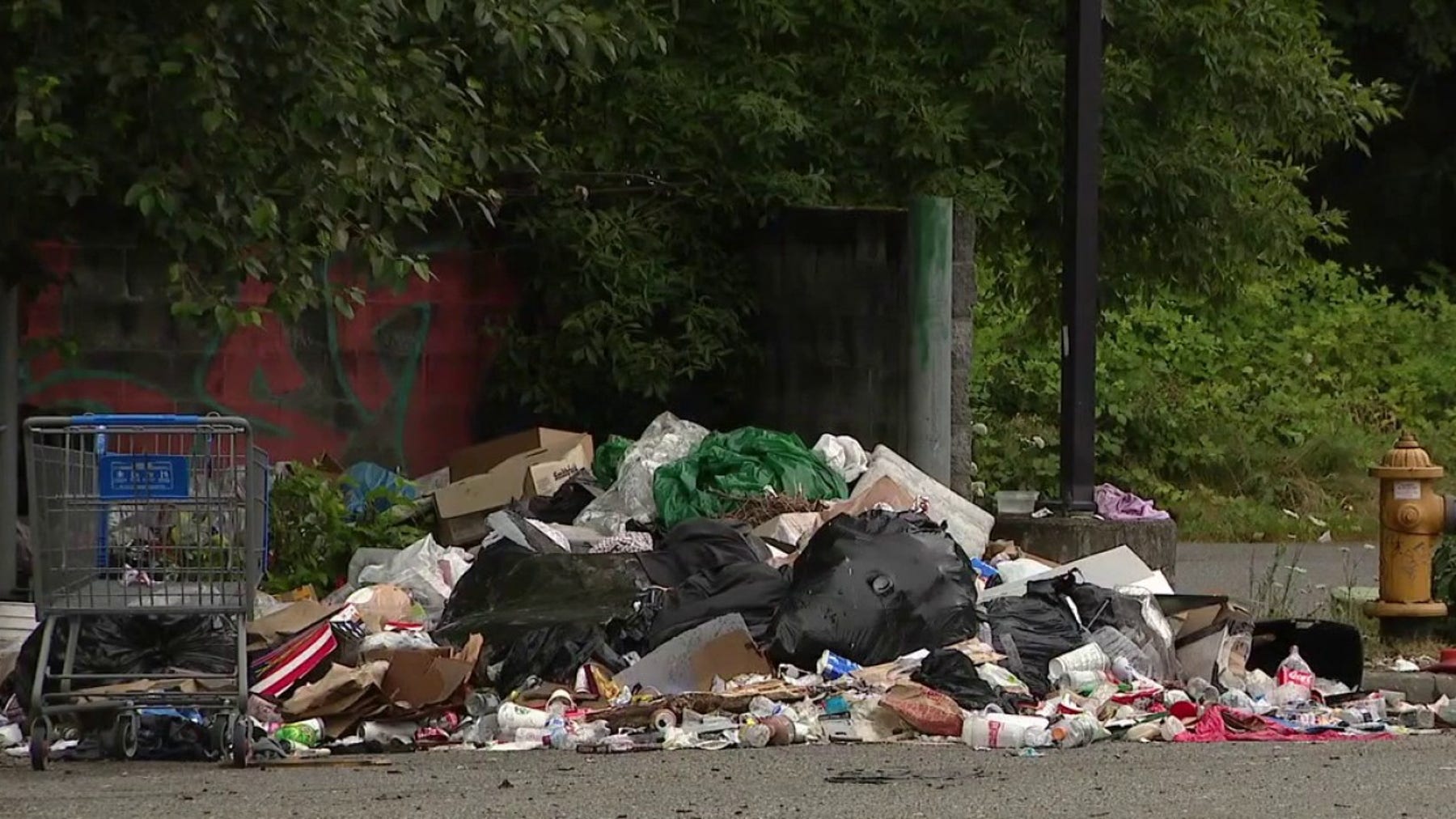 Renton City Council to vote on public homeless camping ban