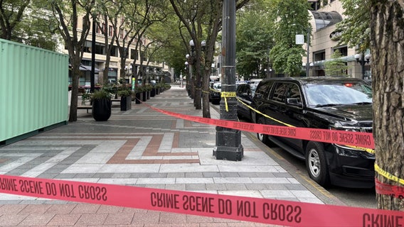 Police investigate Downtown Seattle homicide after deadly park fight