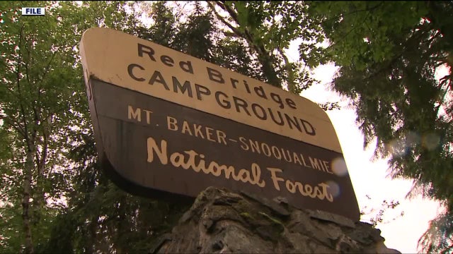 US Forest Service confirms it works with ICE after camping trip raid