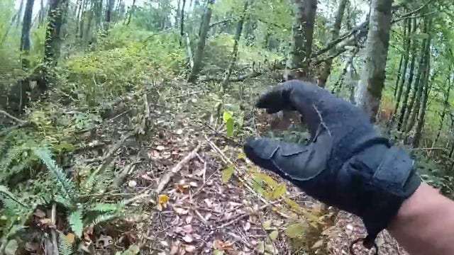 Human remains discovered in wooded area in Frederickson, WA, investigation launched