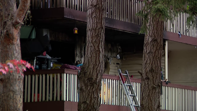 40 people displaced by Federal Way, WA apartment fire