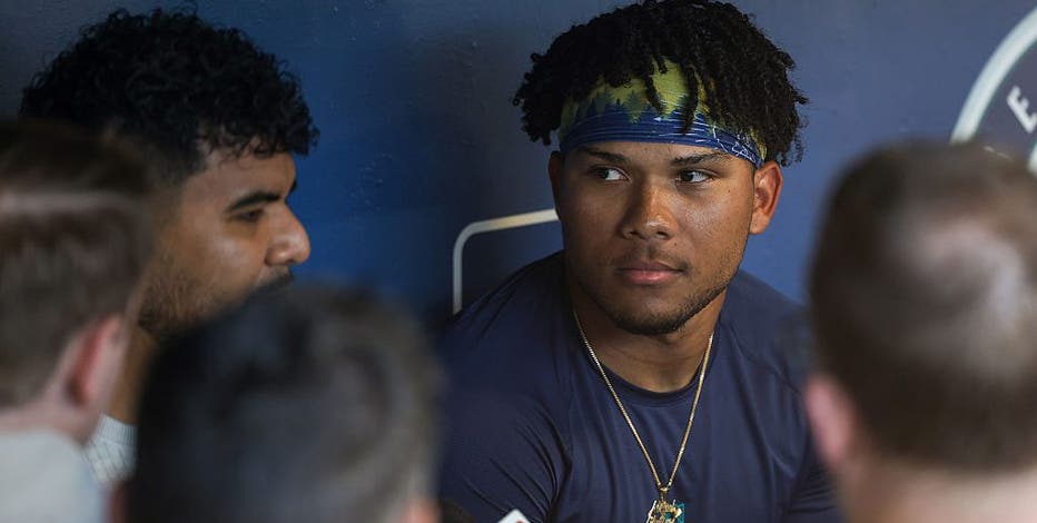 Seattle Mariners promote top hitting prospect Michael Arroyo