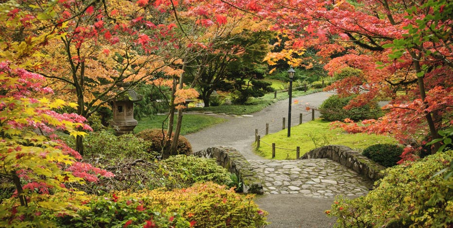 When does fall start in WA? Key dates for fall foliage, daylight saving