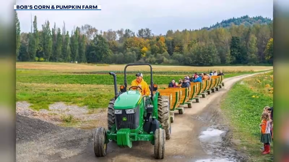 kids on tractor train ride at farm