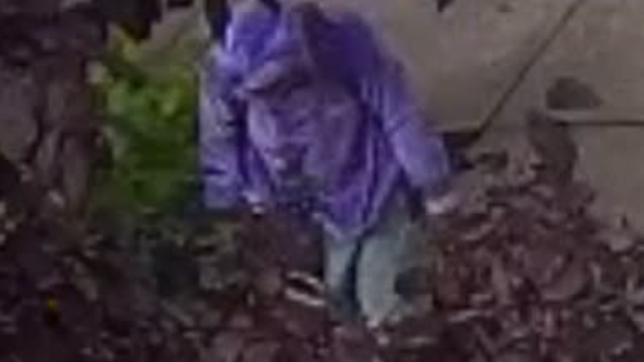 Renton Sexual Assault Suspect