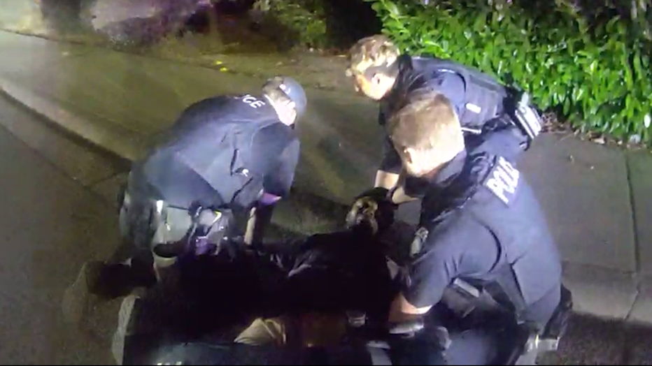 Hollingsworth Arrest Bellevue