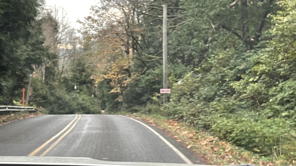 Woman hospitalized after bear attacks her near home in Index, WA