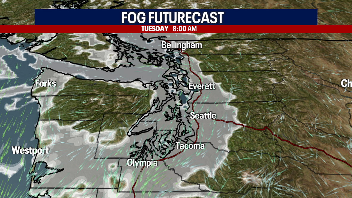 Seattle weather: Morning fog, afternoon sunshine through Thursday