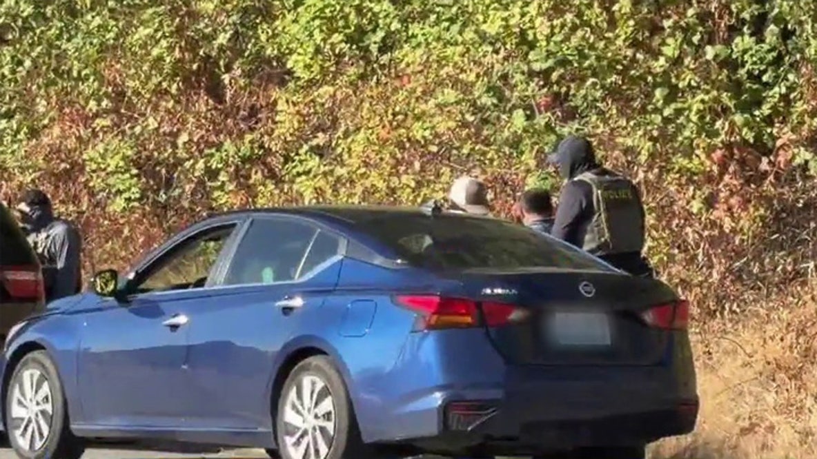 ICE used loophole to access DOL driver data for over 350 arrests in WA: Report