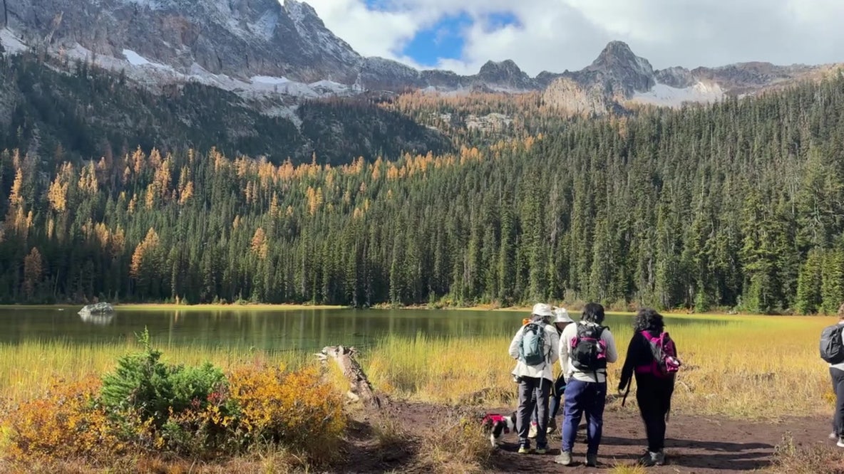 Problems growing with ‘Larch Madness’ in WA's North Cascades