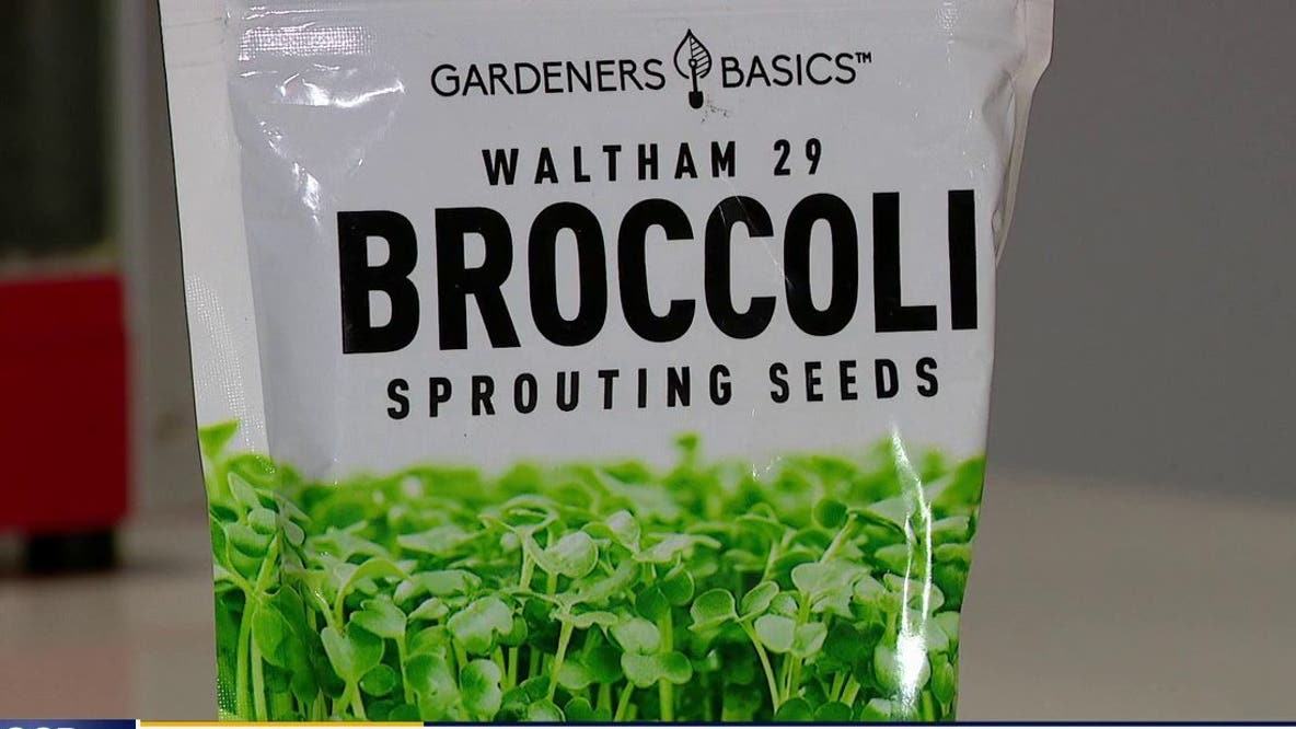 Salmonella outbreak hits WA: 4 companies recall broccoli seeds