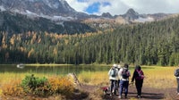 Problems growing with ‘Larch Madness’ in WA's North Cascades