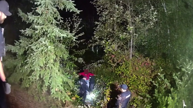 Man gets trapped in blackberry bushes during Pierce County, WA domestic harassment call
