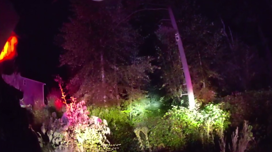 Pierce County Blackberry Bushes Rescue