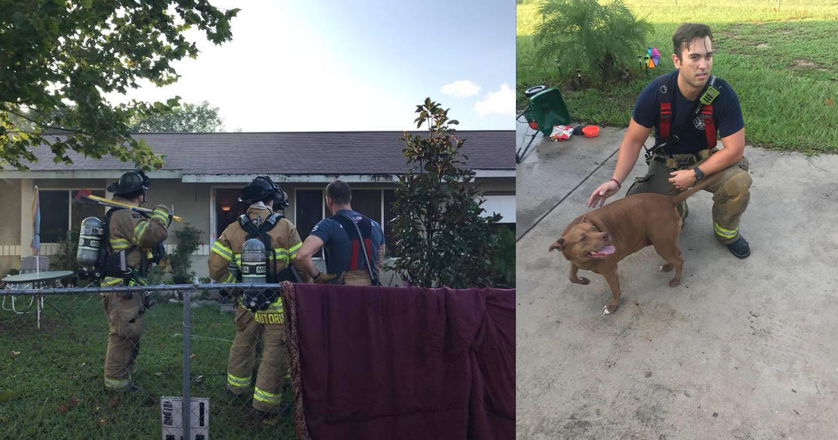 Three people and one dog rescued from Ocala house fire | FOX 51 Gainesville