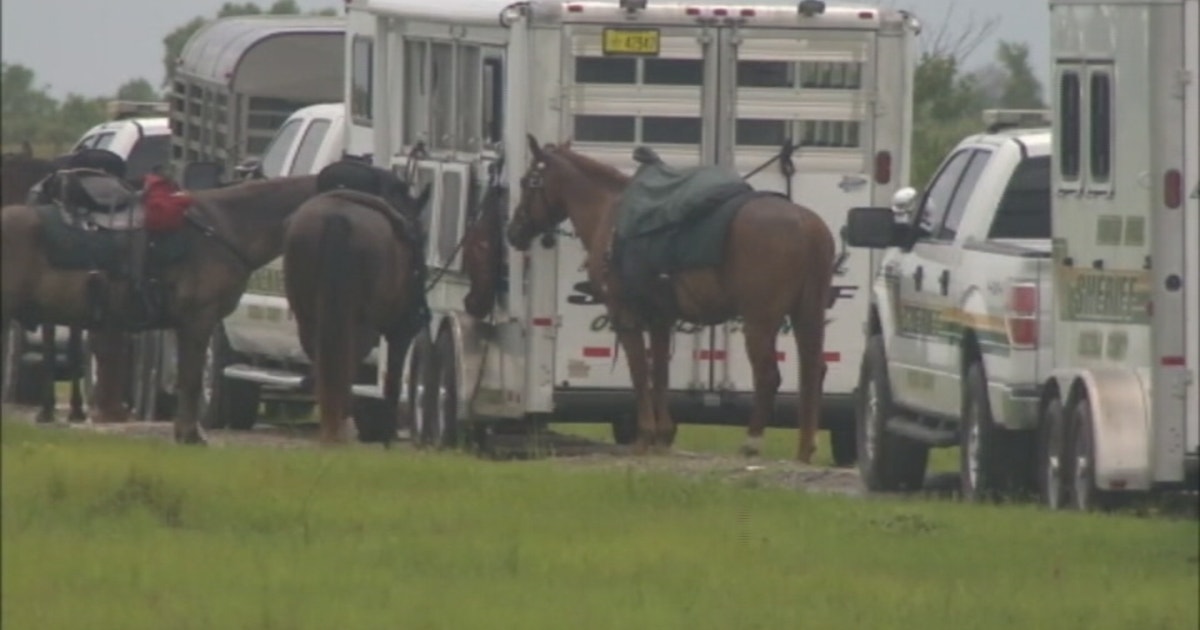 Deputies continue to search for clues in case of missing girl | FOX 51 ...