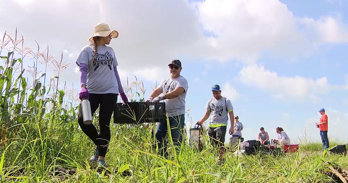 Crop gleaning helps to feed the hungry | FOX 51 Gainesville