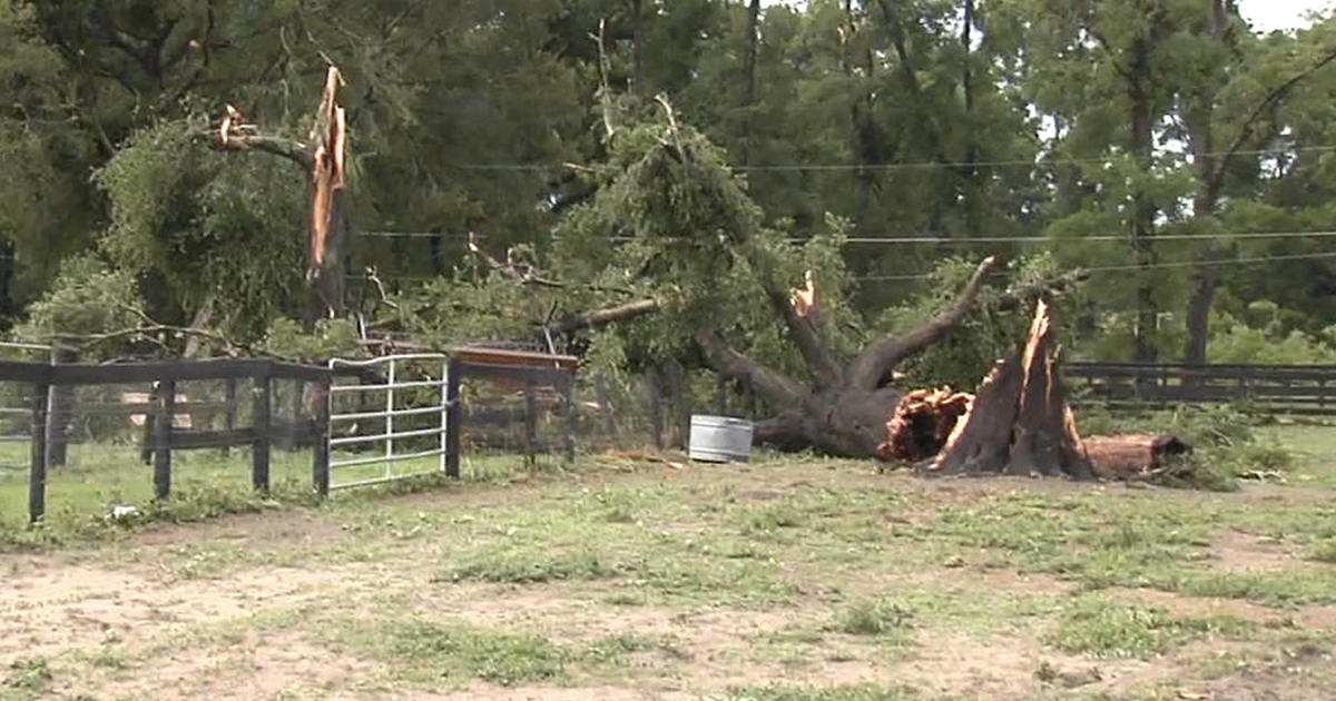 Confirmed: Tornado touched down in Marion County, National Weather ...