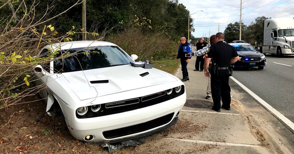 Suspect arrested after wild pursuit in Marion County | FOX 51 Gainesville