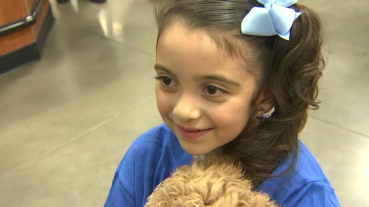 7-year-old with heart condition and new puppy get red carpet treatment ...