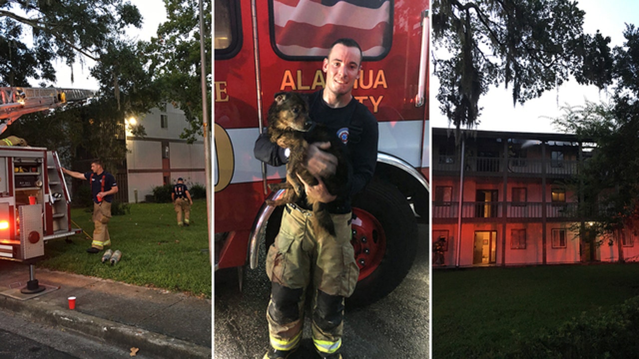 Gainesville Firefighters Rescue Dog From House Fire; Dozens Displaced