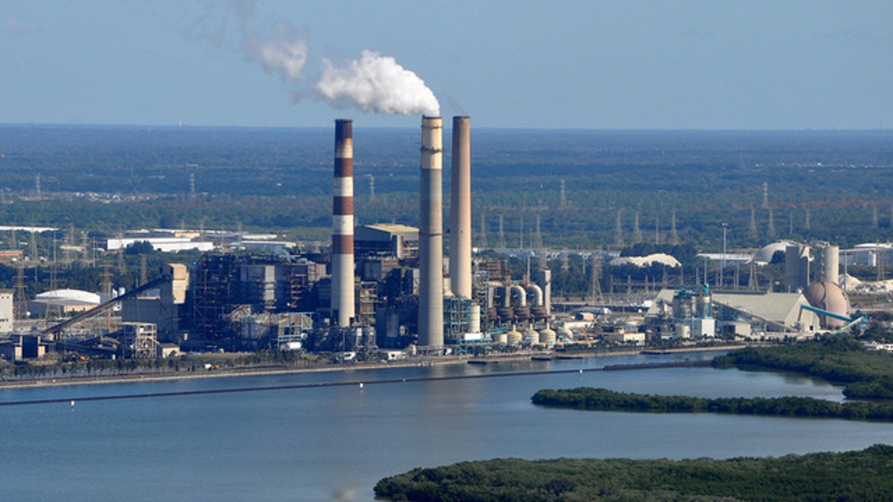 Gainesville power plant information